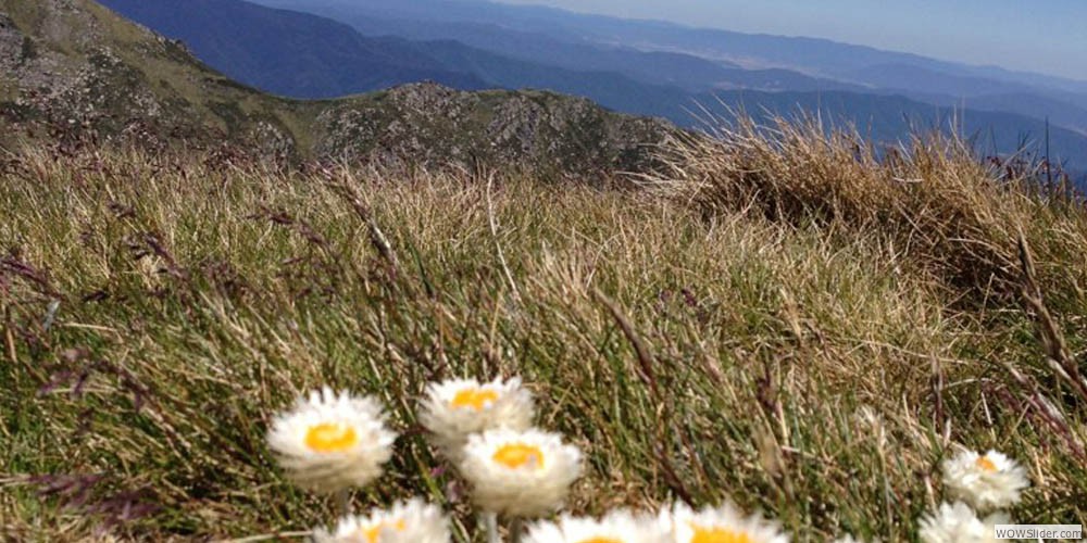 Right at the foot of the roof of Australia